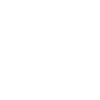Ingeniums Website